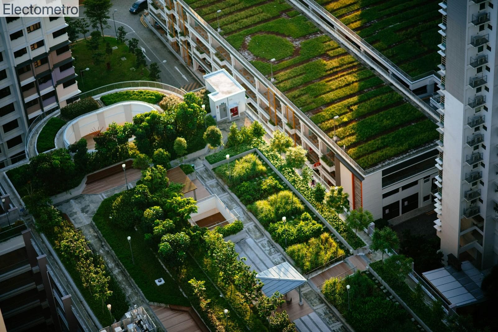 Ciudades verdes: cómo las urbes se adaptan al cambio climático